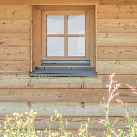 Das Koralpenchalet...Sonne, Wald, Natur! Trahutten Exterior photo