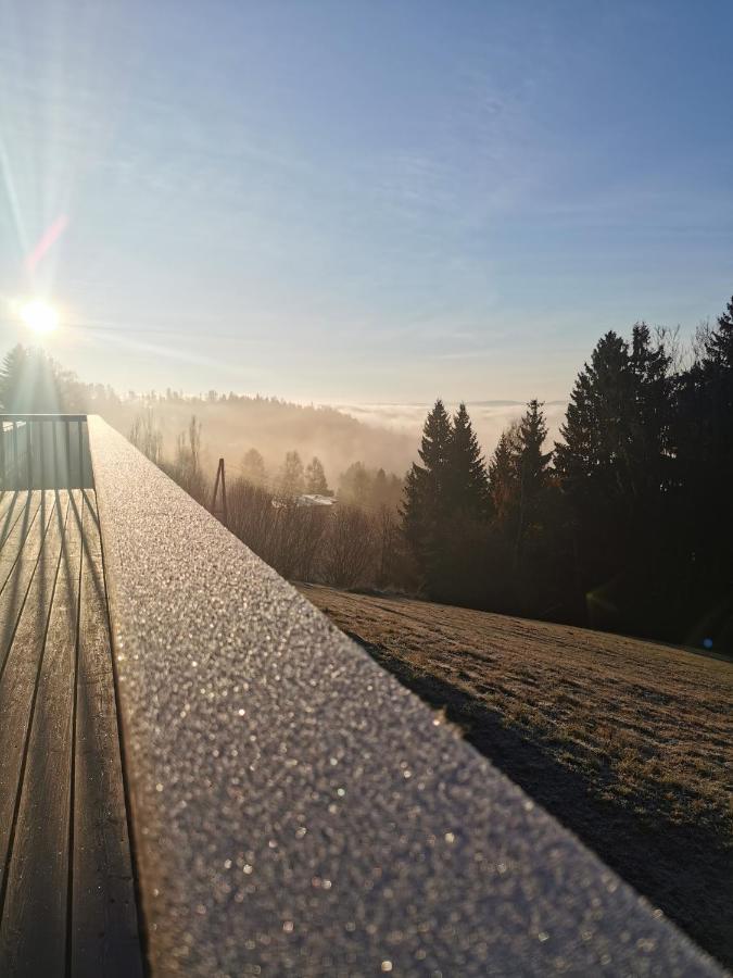 Das Koralpenchalet...Sonne, Wald, Natur! Villa Trahutten Exterior photo